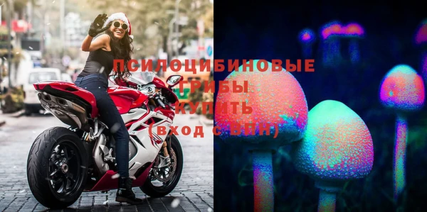 первитин Рославль
